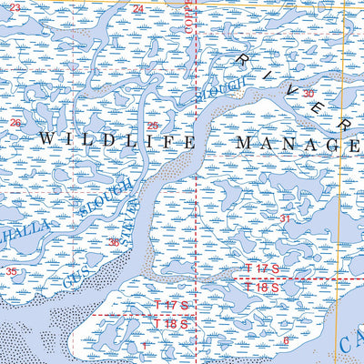 US Forest Service - Topo Cordova B-4, AK FSTopo Legacy digital map