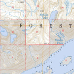 US Forest Service - Topo Cordova C-6, AK FSTopo Legacy digital map