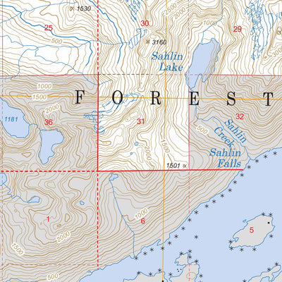 US Forest Service - Topo Cordova C-6, AK FSTopo Legacy digital map