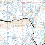 US Forest Service - Topo Cordova D-1, AK FSTopo Legacy digital map