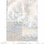 US Forest Service - Topo Cordova D-4, AK FSTopo Legacy digital map