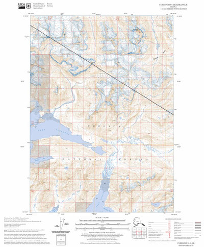US Forest Service - Topo Cordova D-6, AK FSTopo Legacy digital map