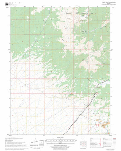 US Forest Service - Topo Corey Peak, NV FSTopo Legacy digital map