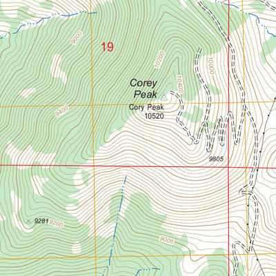 US Forest Service - Topo Corey Peak, NV FSTopo Legacy digital map