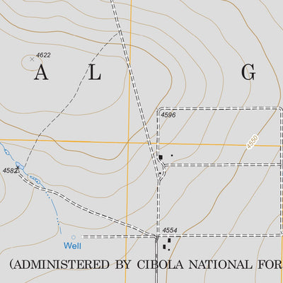 US Forest Service - Topo Corlena NW, TX FSTopo Legacy digital map