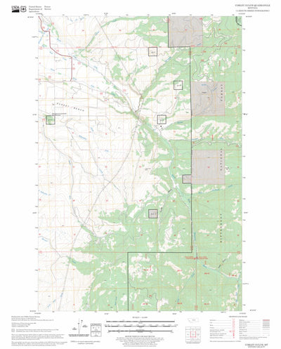 US Forest Service - Topo Corley Gulch, MT FSTopo Legacy digital map