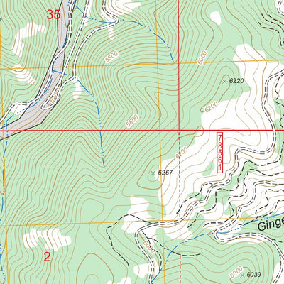 US Forest Service - Topo Cornish Gulch, MT FSTopo Legacy digital map