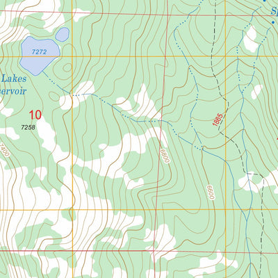 US Forest Service - Topo Cornucopia, OR FSTopo Legacy digital map