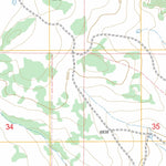 US Forest Service - Topo Corona South, NM FSTopo Legacy digital map