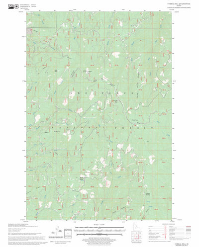 US Forest Service - Topo Corral Hill, ID FSTopo Legacy digital map
