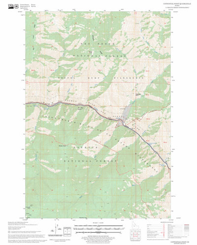 US Forest Service - Topo Cottontail Point, ID FSTopo Legacy digital map