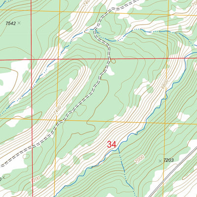 US Forest Service - Topo Cottonwood Basin, CO FSTopo Legacy digital map