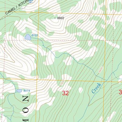 US Forest Service - Topo Cottonwood Butte, ID FSTopo Legacy digital map