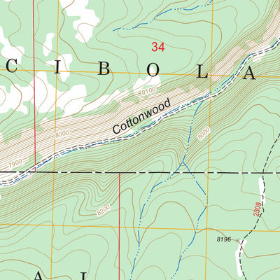 US Forest Service - Topo Cottonwood Canyon, NM FSTopo Legacy digital map