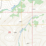 US Forest Service - Topo Cottonwood Creek, ID - MT FSTopo Legacy digital map