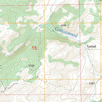 US Forest Service - Topo Cottonwood Falls, WY FSTopo Legacy digital map