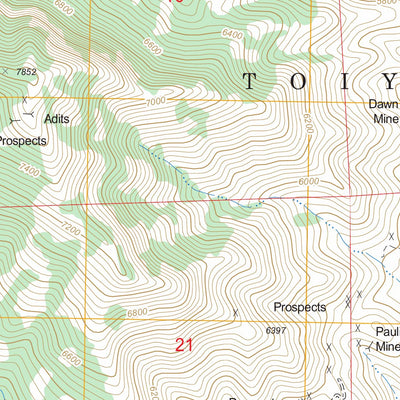 US Forest Service - Topo Cottonwood Pass, NV FSTopo Legacy digital map