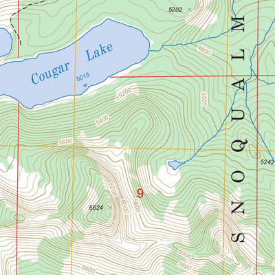 US Forest Service - Topo Cougar Lake, WA FSTopo Legacy digital map