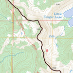 US Forest Service - Topo Cougar Lake, WA FSTopo Legacy digital map