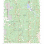 US Forest Service - Topo Courthouse Mountain, CO FSTopo Legacy digital map