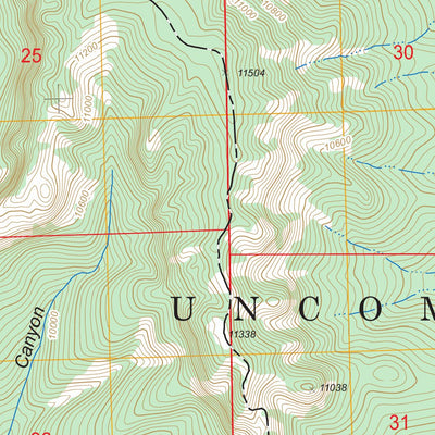 US Forest Service - Topo Courthouse Mountain, CO FSTopo Legacy digital map