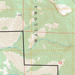 US Forest Service - Topo Cove, OR FSTopo Legacy digital map