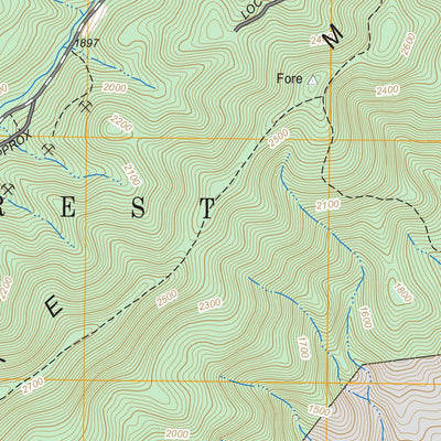 US Forest Service - Topo Covington, VA FSTopo Legacy digital map