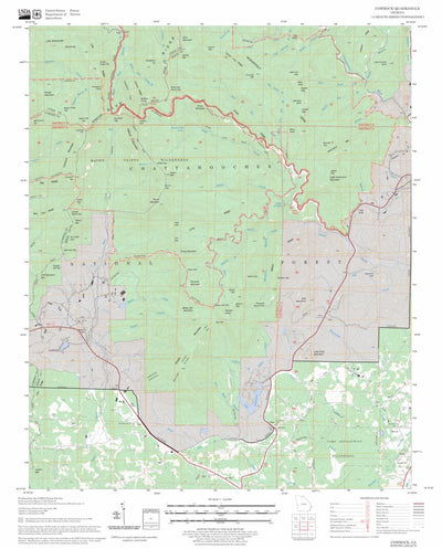 US Forest Service - Topo Cowrock, GA FSTopo Legacy digital map