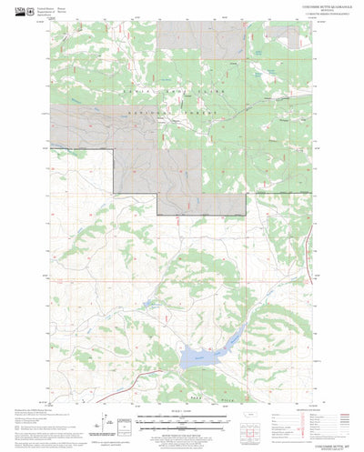 US Forest Service - Topo Coxcombe Butte, MT FSTopo Legacy digital map