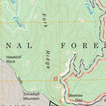 US Forest Service - Topo Craggy Pinnacle, NC FSTopo Legacy digital map