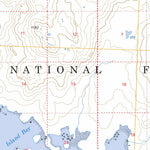 US Forest Service - Topo Craig A-3, AK FSTopo Legacy digital map