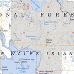 US Forest Service - Topo Craig C-2, AK FSTopo Legacy digital map