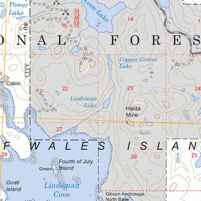 US Forest Service - Topo Craig C-2, AK FSTopo Legacy digital map