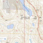 US Forest Service - Topo Craig C-3, AK FSTopo Legacy digital map