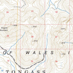 US Forest Service - Topo Craig C-4, AK FSTopo Legacy digital map
