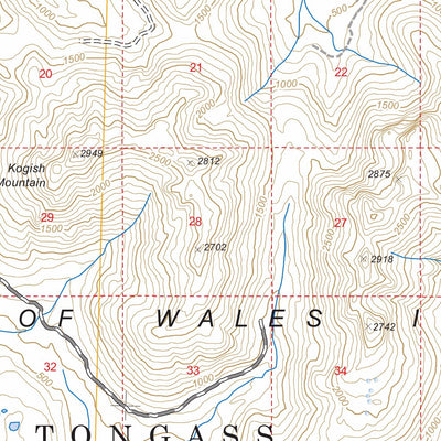 US Forest Service - Topo Craig C-4, AK FSTopo Legacy digital map