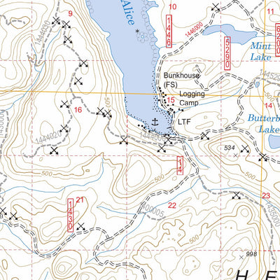 US Forest Service - Topo Craig D-5, AK FSTopo Legacy digital map