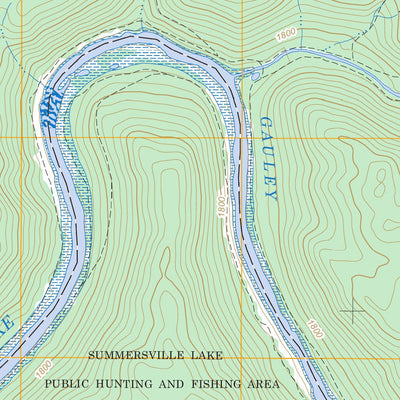 US Forest Service - Topo Craigsville, WV FSTopo Legacy digital map