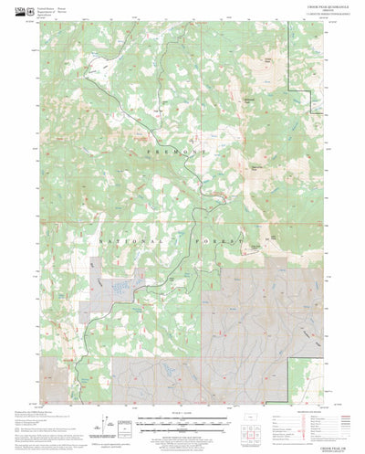 US Forest Service - Topo Crook Peak, OR FSTopo Legacy digital map