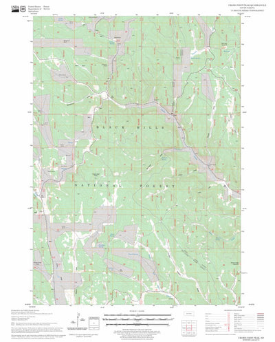 US Forest Service - Topo Crows Nest Peak, SD FSTopo Legacy digital map