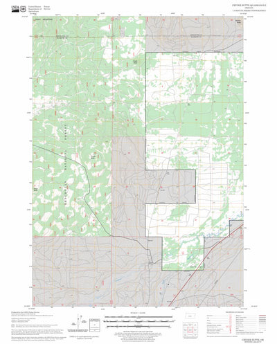 US Forest Service - Topo Cryder Butte, OR FSTopo Legacy digital map
