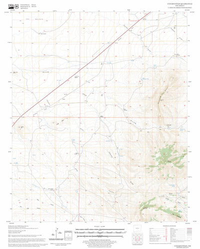 US Forest Service - Topo Cub Mountain, NM FSTopo Legacy digital map