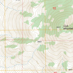 US Forest Service - Topo Cub Mountain, NM FSTopo Legacy digital map
