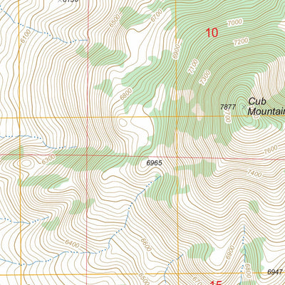 US Forest Service - Topo Cub Mountain, NM FSTopo Legacy digital map