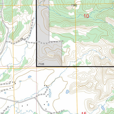 US Forest Service - Topo Cuba, NM FSTopo Legacy digital map