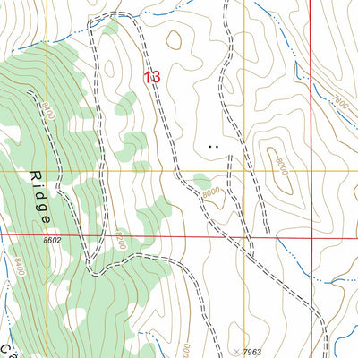 US Forest Service - Topo Cuchara, CO FSTopo Legacy digital map