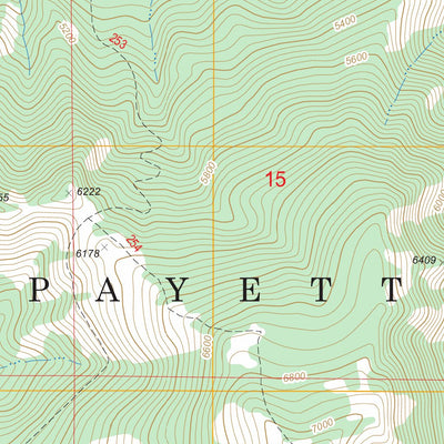 US Forest Service - Topo Cuddy Mountain, ID - OR FSTopo Legacy digital map