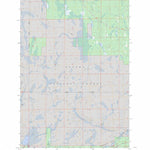 US Forest Service - Topo Cup Lake, MI FSTopo Legacy digital map