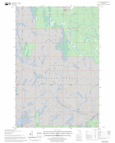 US Forest Service - Topo Cup Lake, MI FSTopo Legacy digital map