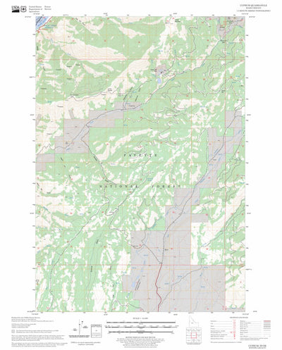 US Forest Service - Topo Cuprum, ID - OR FSTopo Legacy digital map